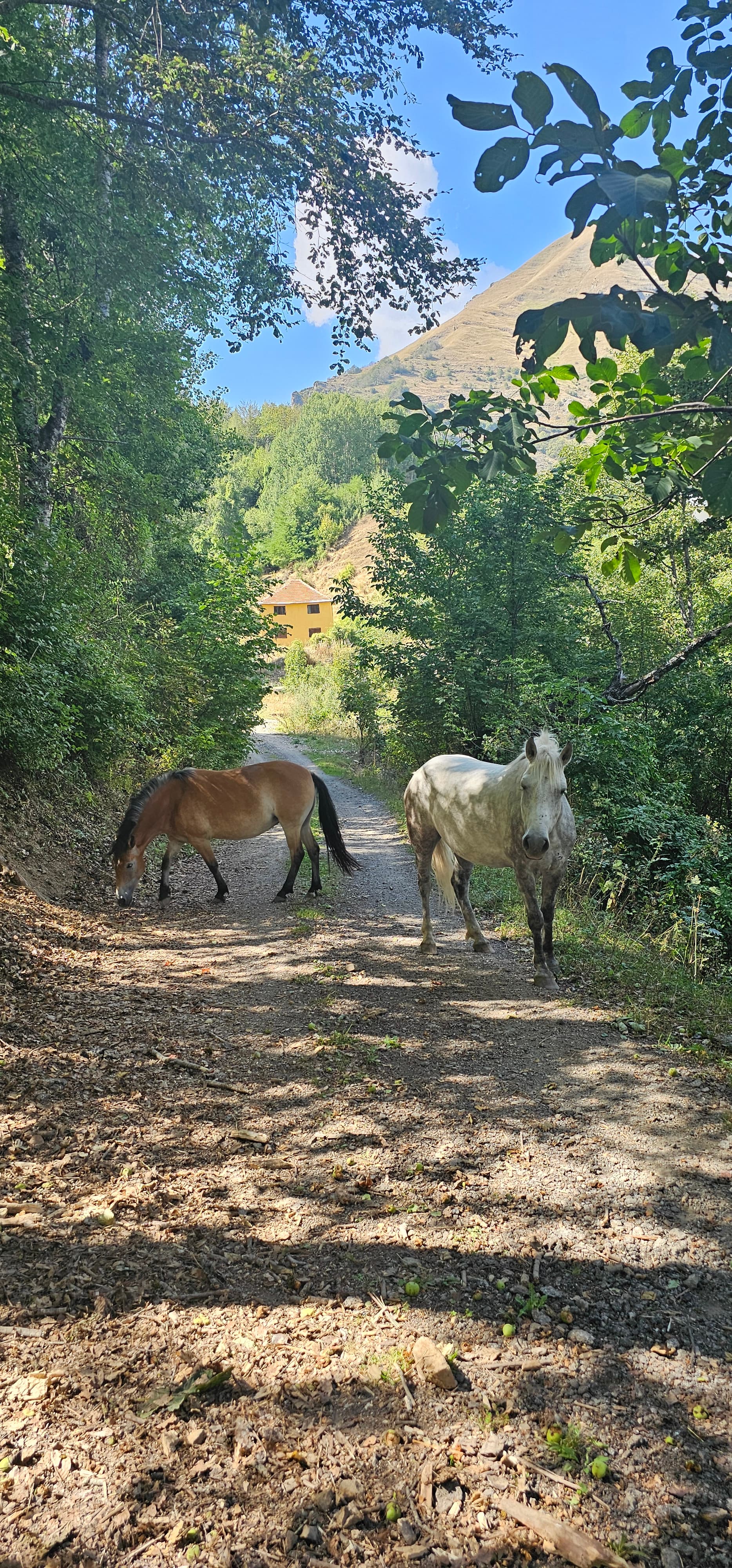 Hiking photo